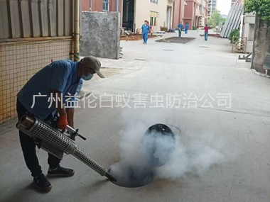 广州街道消灭蚊虫工程
