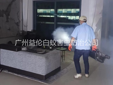 花都室内灭蚊虫工程
